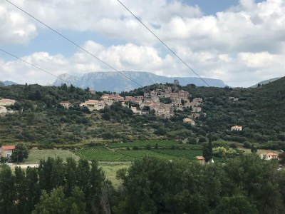 Villa Tranquil Vineyard Villa, Berlou - Environment photo 34