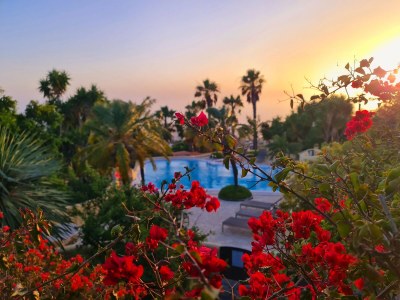 Holiday house Villa Don Miguel - Outdoor photo 14