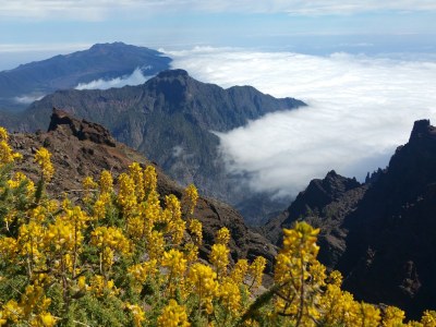 Holiday house Villa Don Miguel - Environment photo 39