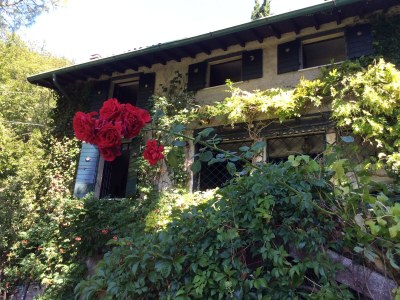 Villa Villa Lavanda - Features photo 25