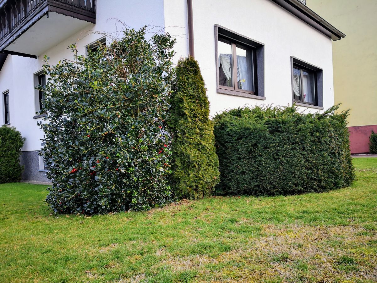 Holiday apartment Maria Laach Laacher See 2 - Outdoor photo 4