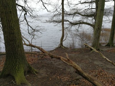 Holiday apartment Maria Laach Laacher See 2 - Environment photo 18