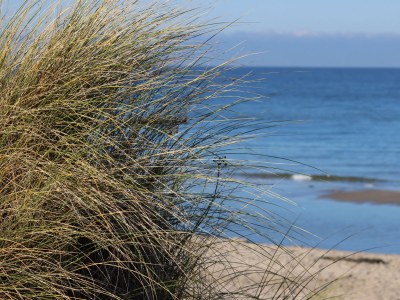 Holiday apartment Strandbrise - Environment photo 13