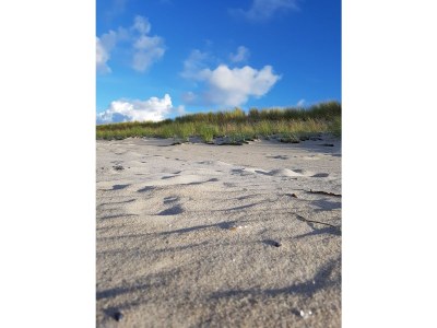 Holiday apartment Strandbrise - Environment photo 14