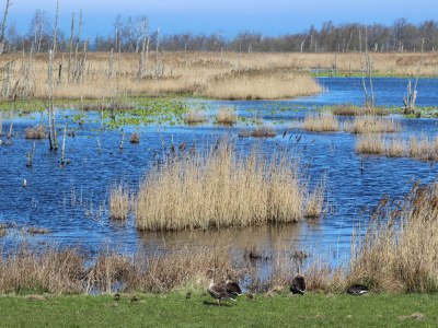 Holiday apartment Strandbrise - Environment photo 17