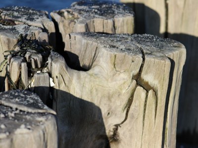 Holiday apartment Strandbrise - Environment photo 18