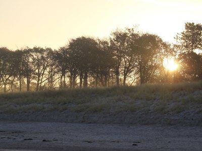 Holiday apartment Strandbrise - Environment photo 20