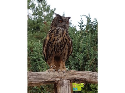 Holiday apartment Strandbrise - Environment photo 24