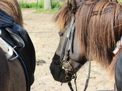 Holiday apartment Strandbrise - Environment photo 25