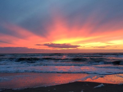 Holiday apartment Studio Tol Zandvoort - Environment photo 12