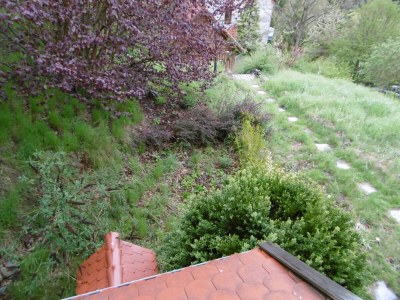 Holiday house Haus Bodetalblick - Outdoor photo 6