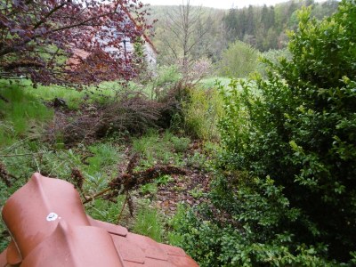 Holiday house Haus Bodetalblick - Outdoor photo 7