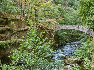 Holiday house Haus Bodetalblick - Outdoor photo 9