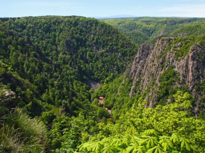 Holiday house Haus Bodetalblick - Outdoor photo 11
