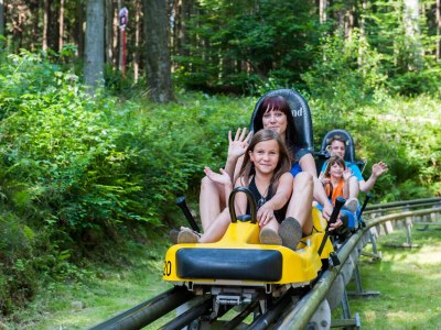 Holiday house Haus Bodetalblick - Environment photo 39