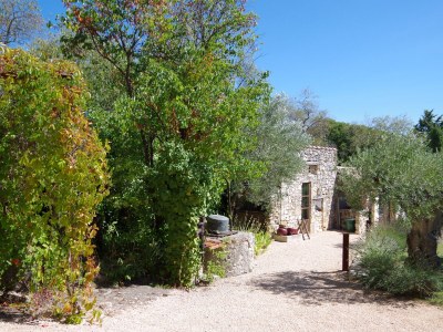 Holiday house Mas du Pin - Outdoor photo 6