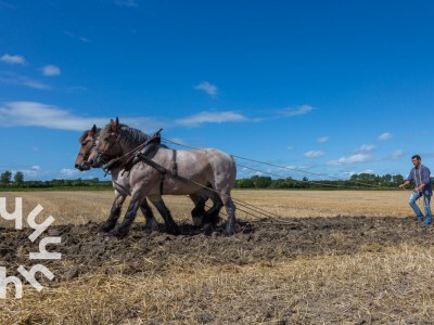 Holiday house Holiday house Oostkapelle - ZE188 - Environment photo 25
