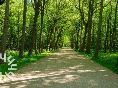 Holiday house Holiday house Oostkapelle - ZE188 - Environment photo 27