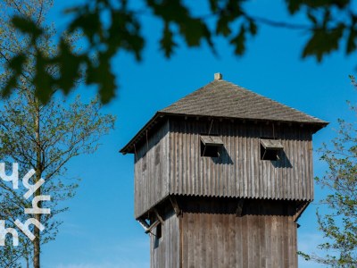 Holiday house Holiday house Oostkapelle - ZE188 - Environment photo 31