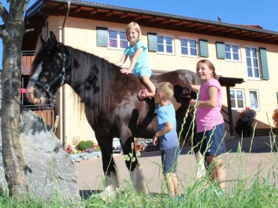 Holiday apartment Landhaus Fischer - Outdoor photo 6