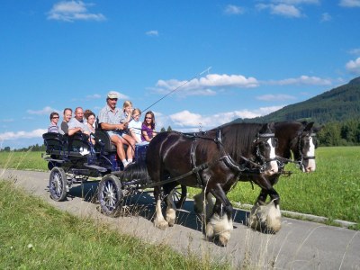 Holiday apartment Landhaus Fischer - Outdoor photo 7