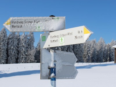 Holiday apartment Landhaus Fischer - Environment photo 16