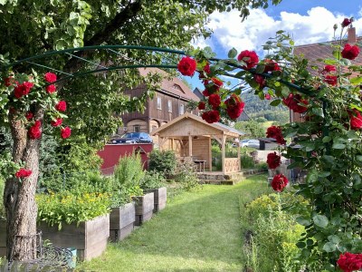 Holiday apartment Kunze - Outdoor photo 6