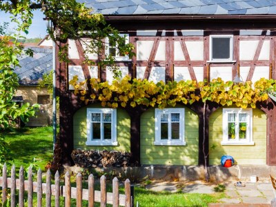 Holiday apartment Kunze - Outdoor photo 8