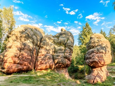 Holiday apartment Kunze - Environment photo 26