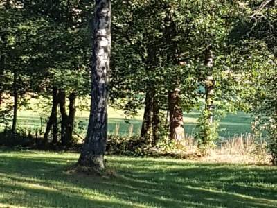 Holiday apartment Weidenhausen Water Mill Apartment 2 - Outdoor photo 4