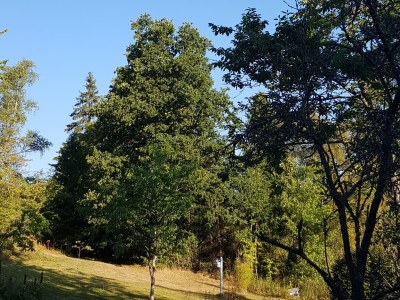 Holiday apartment Weidenhausen Water Mill Apartment 2 - Outdoor photo 6