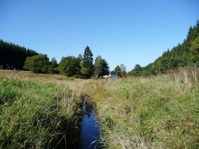 Holiday apartment Weidenhausen Water Mill Apartment 2 - Environment photo 32