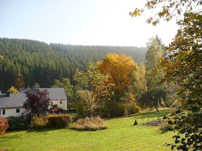 Holiday apartment Weidenhausen Water Mill Apartment 2 - Environment photo 35