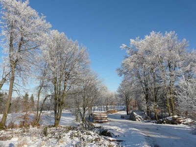 Holiday apartment Weidenhausen Water Mill Apartment 2 - Environment photo 37