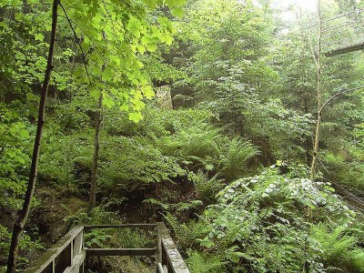 Holiday apartment Weidenhausen Water Mill Apartment 2 - Environment photo 38