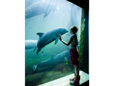 Holiday house Strand Horst - Environment photo 33