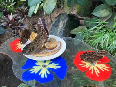 Holiday house Strand Horst - Environment photo 39