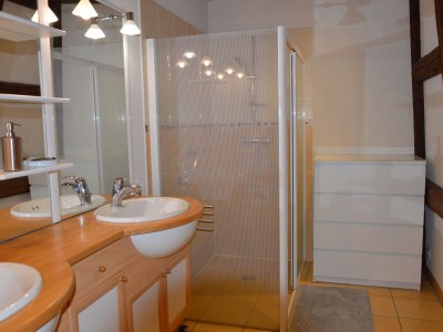 Holiday apartment In Kaysersberg - Features photo 13