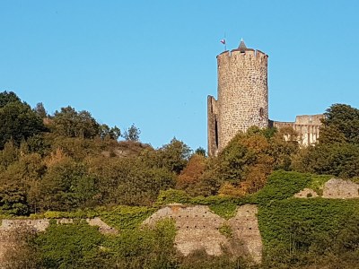 Holiday apartment In Kaysersberg - Features photo 14