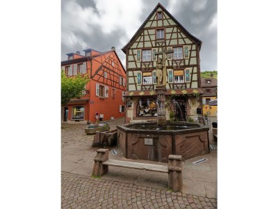 Holiday apartment In Kaysersberg - Features photo 17