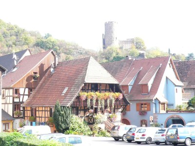Holiday apartment In Kaysersberg - Environment photo 18