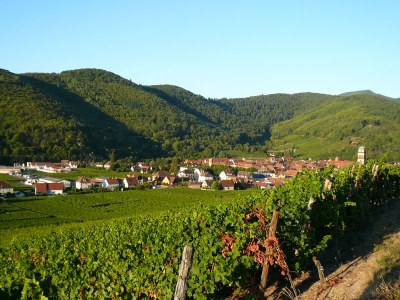 Holiday apartment In Kaysersberg - Document photo 24