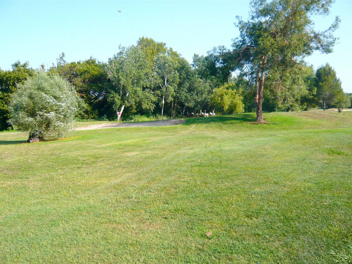 Holiday house Provençal Parkside Haven - Outdoor photo 4