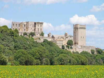 Holiday house Provençal Parkside Haven - Environment photo 19