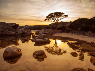 Holiday house T2 Les Hameaux de Santa Giulia - Environment photo 18