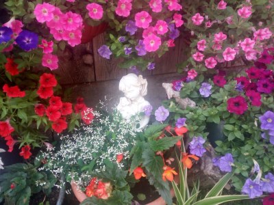 Holiday apartment Flatscherhof - Holiday Mountain Farm Italy - Outdoor photo 8