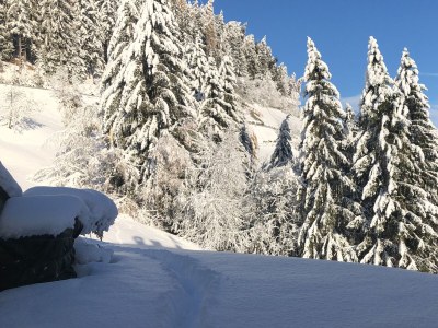 Holiday apartment Flatscherhof - Holiday Mountain Farm Italy - Outdoor photo 9