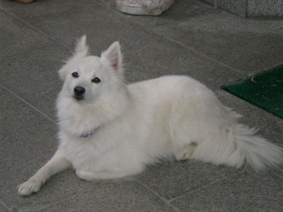 Holiday apartment Flatscherhof - Holiday Mountain Farm Italy - Environment photo 20