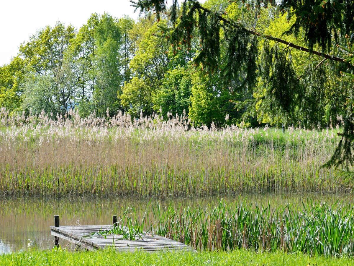 Holiday house Dream barn - Outdoor photo 4