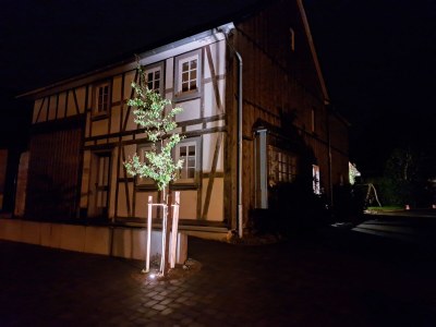 Holiday house Ferienhaus Steffens - Outdoor photo 6